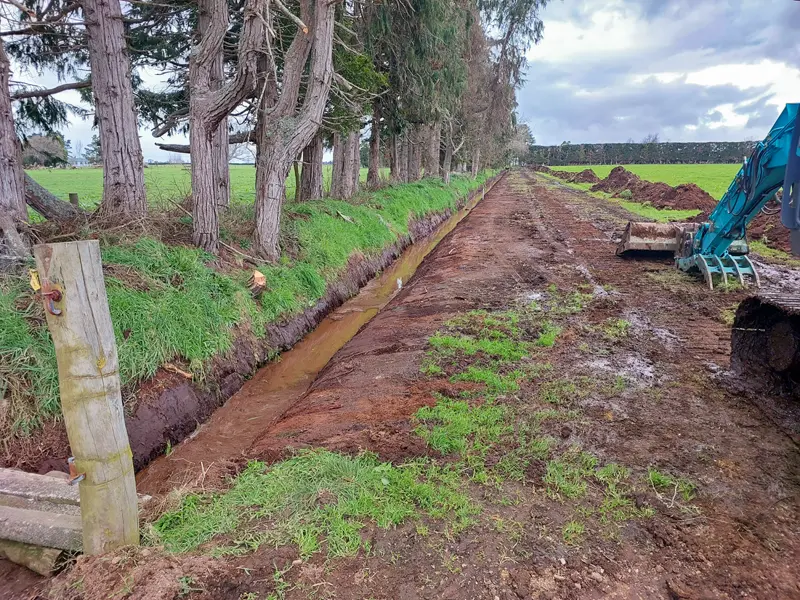 Hedge & Stump Removal
